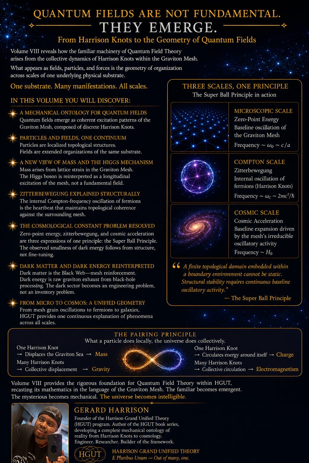 Volume VIII: The Geometry of Quantum Fields back cover